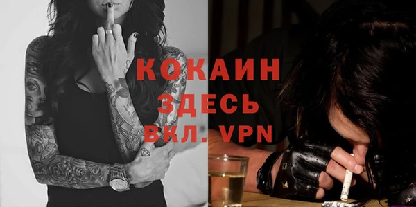 дмт Белокуриха