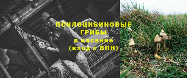 дмт Белокуриха