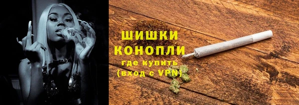 ПСИЛОЦИБИНОВЫЕ ГРИБЫ Тавда