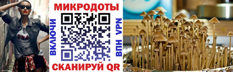 это какой сайт  купить наркотики сайты  Костомукша  Галлюциногенные грибы Cubensis  KRAKEN онион 